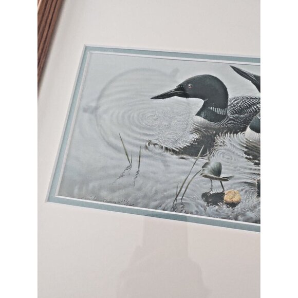 Framed & Matted Michael Dumas Art Print "Bright Water" Loons and Chicks 21 x 17 - Picture 9 of 13
